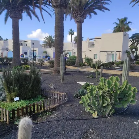 Home2book Comfy Ohana Garden Corralejo, Pool