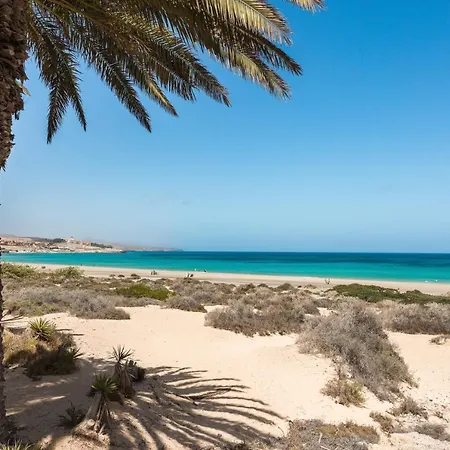 Home2book Comfy Ohana Garden Corralejo, Pool * Corralejo
