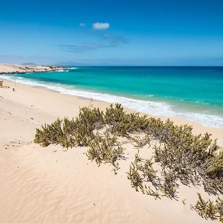 Apartment Home2book Comfy Ohana Garden Corralejo, Pool *